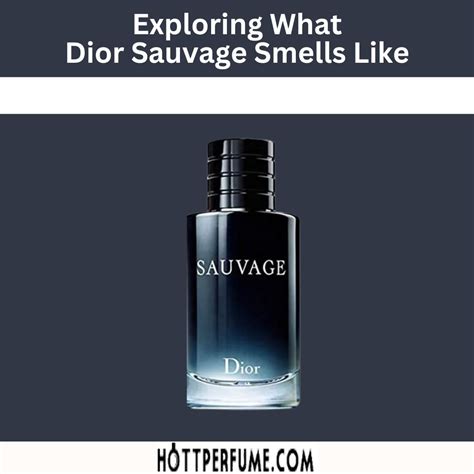 dior sauvage in 2021|dior sauvage smells like.